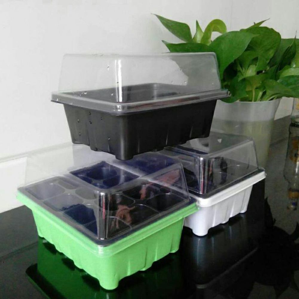 Bonsai Garden Grow Kit - Zestaw do rozsady 12-komorowe tace do