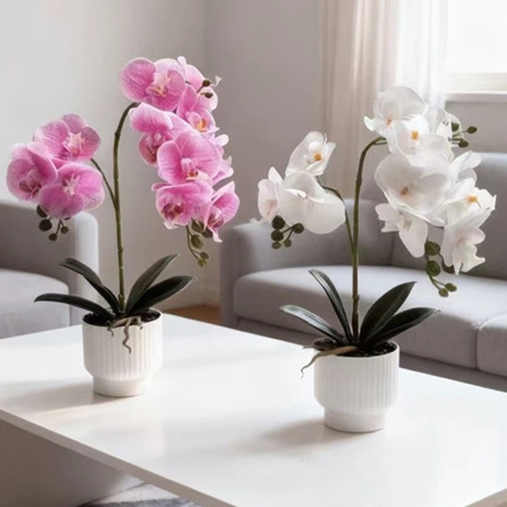Bonsai Garden Zen - Sztuczna orchidea motylkowa Multi-Bloom DIY w
