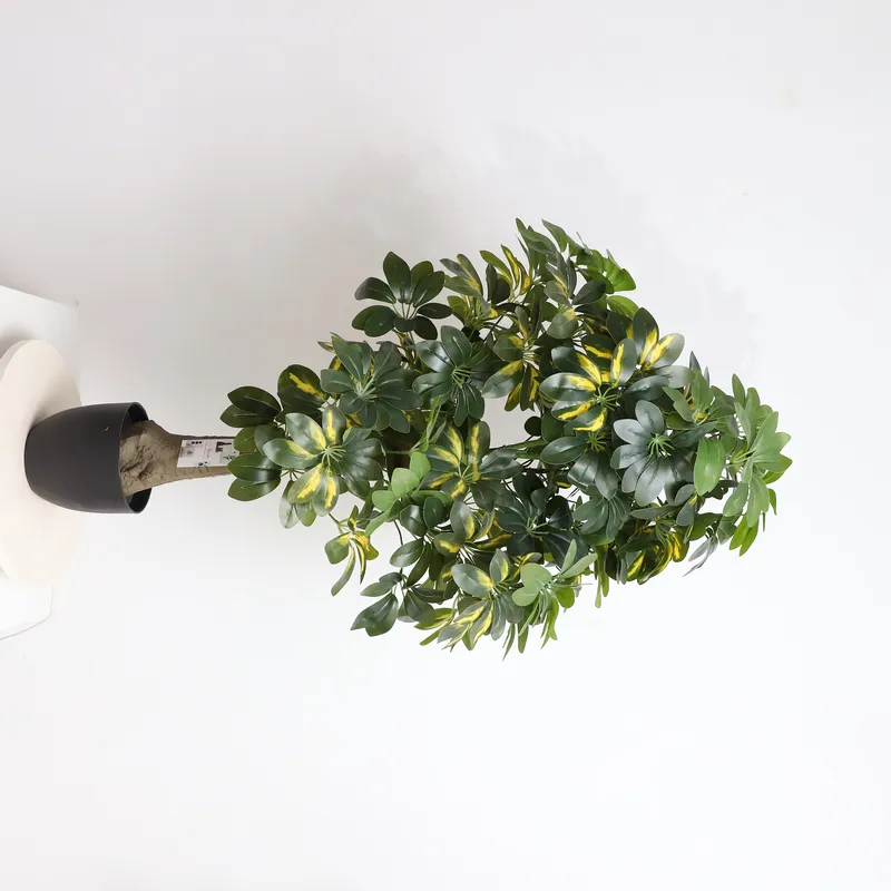 Bonsai Garden Price - Hurtowa cena prosto od producenta: Sztuczna