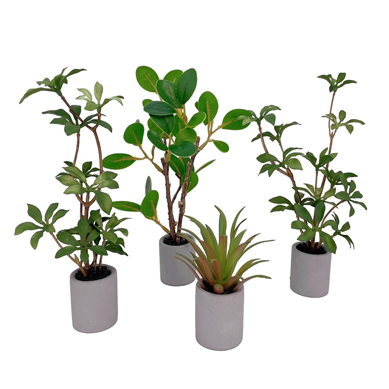 Bonsai Garden Zen - 1:6 domek dla lalek miniaturowa roślina