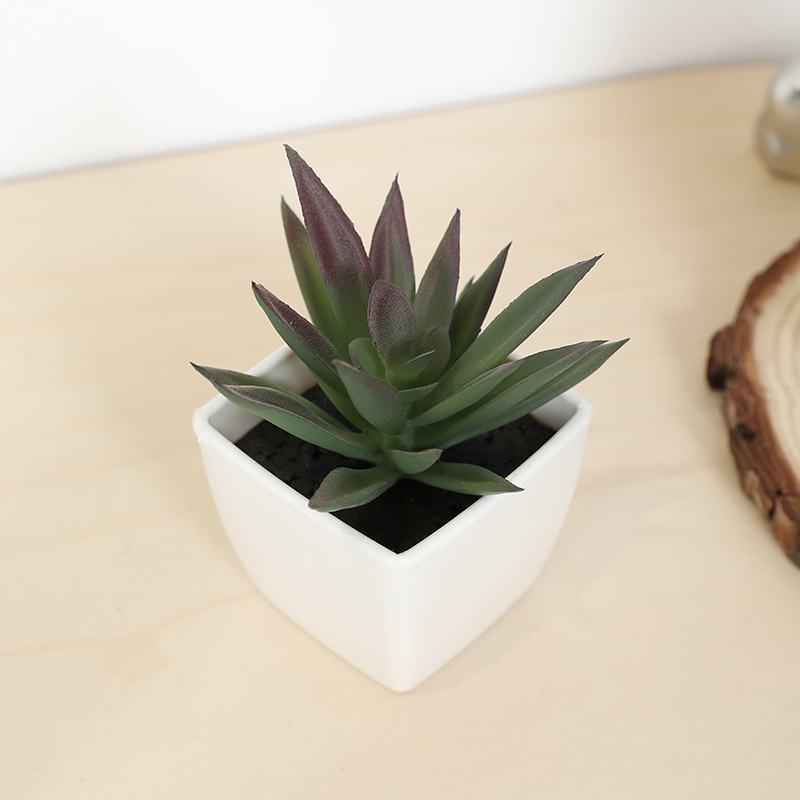 Bonsai Garden Zen - Mini sztuczny soczysty kubek wróżki mała