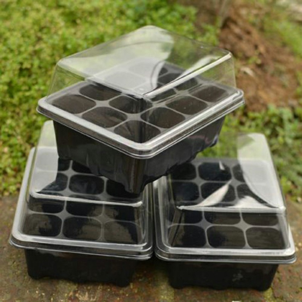 Zestaw do rozsady 12-komorowe  – Bonsai Garden Grow Kit recenzja i cena