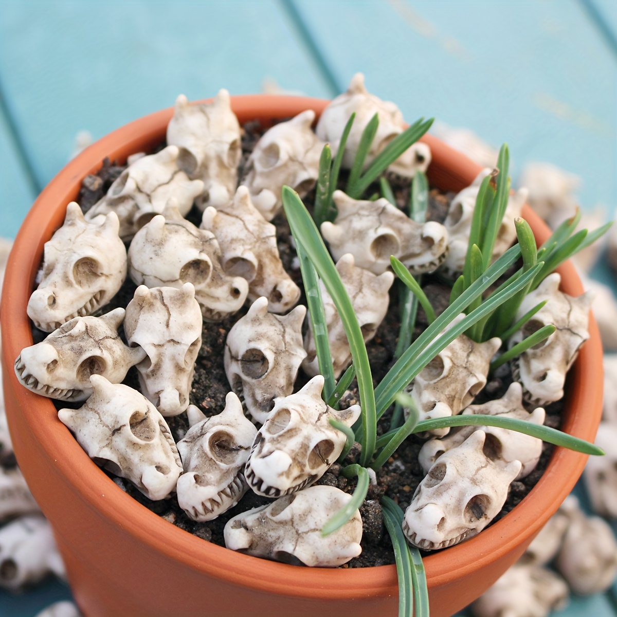 20 szt. Dekoracyjne figurki bo – Bonsai Garden World recenzja i cena