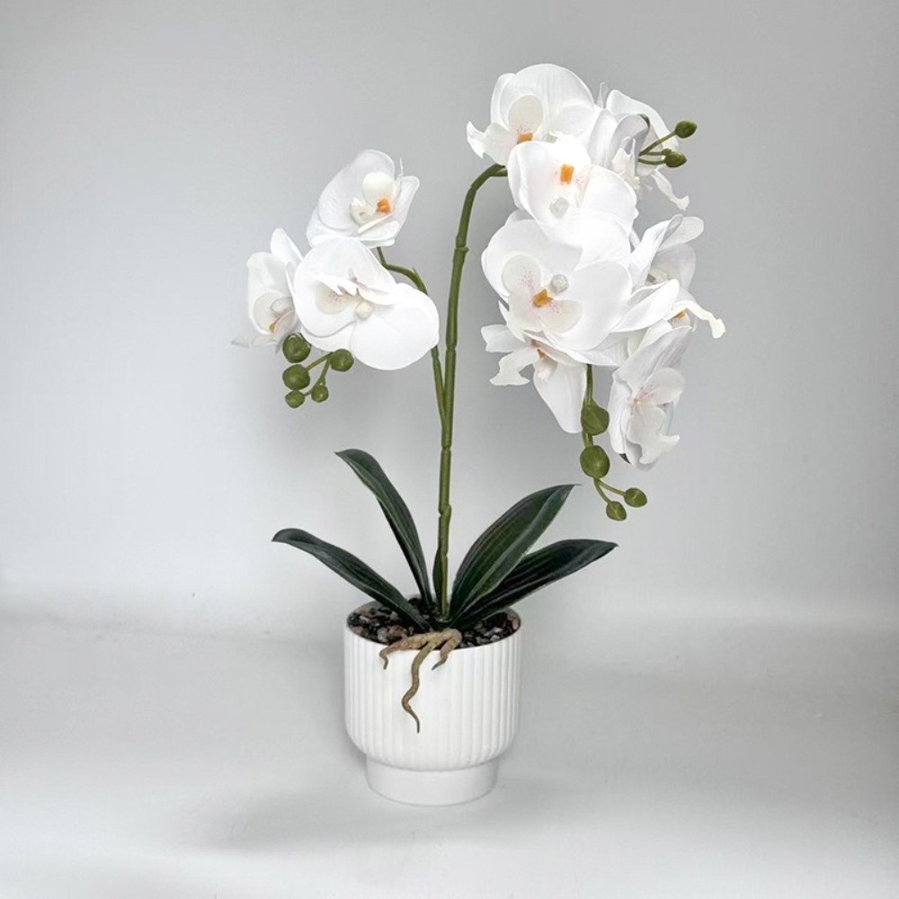 Sztuczna orchidea motylkowa Mu – Bonsai Garden Zen recenzja i cena