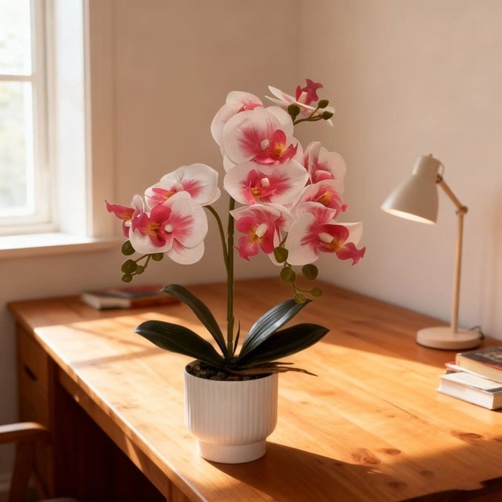 Sztuczna orchidea motylkowa Mu – Bonsai Garden Zen recenzja i cena