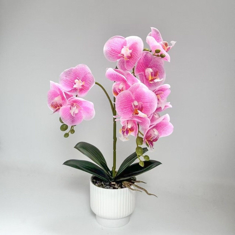 Sztuczna orchidea motylkowa Mu – Bonsai Garden Zen recenzja i cena