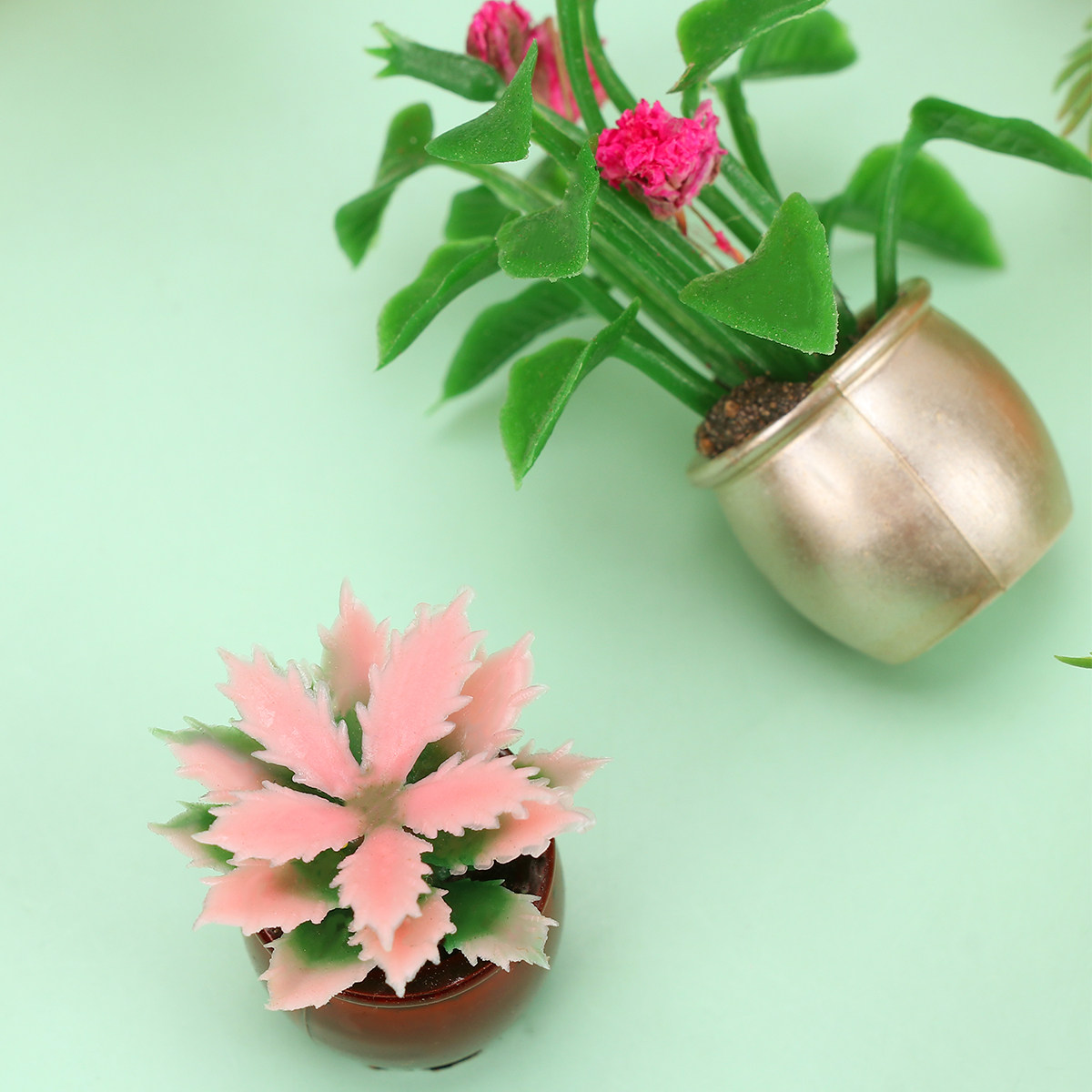 10 szt. Mini plastikowe donicz – Bonsai Garden World recenzja i cena
