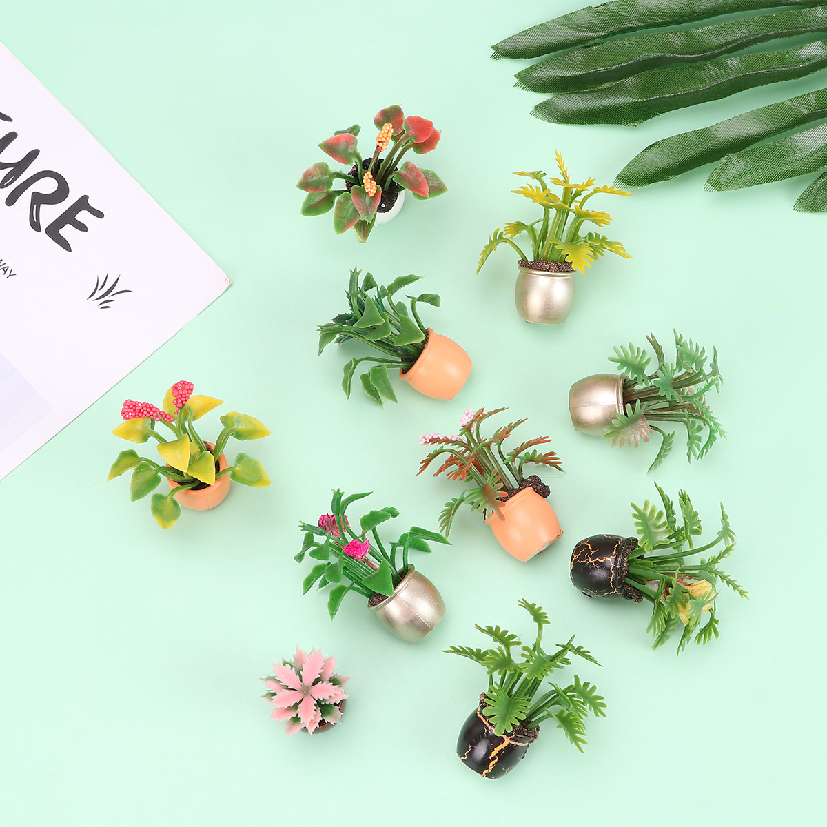 10 szt. Mini plastikowe donicz – Bonsai Garden World recenzja i cena