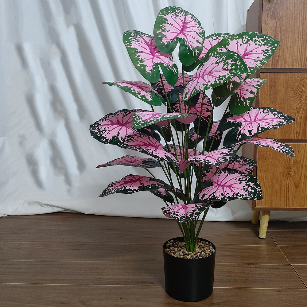 Różowy liść rośliny doniczkowe – Bonsai Garden Zen recenzja i cena
