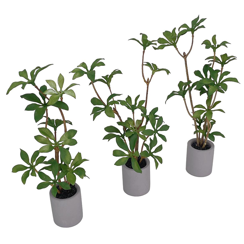 1:6 domek dla lalek miniaturow – Bonsai Garden Zen recenzja i cena