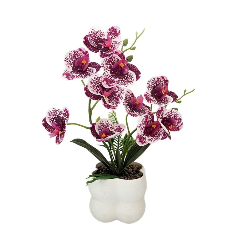 Sztuczna orchidea motylkowa Mu – Bonsai Garden Zen recenzja i cena