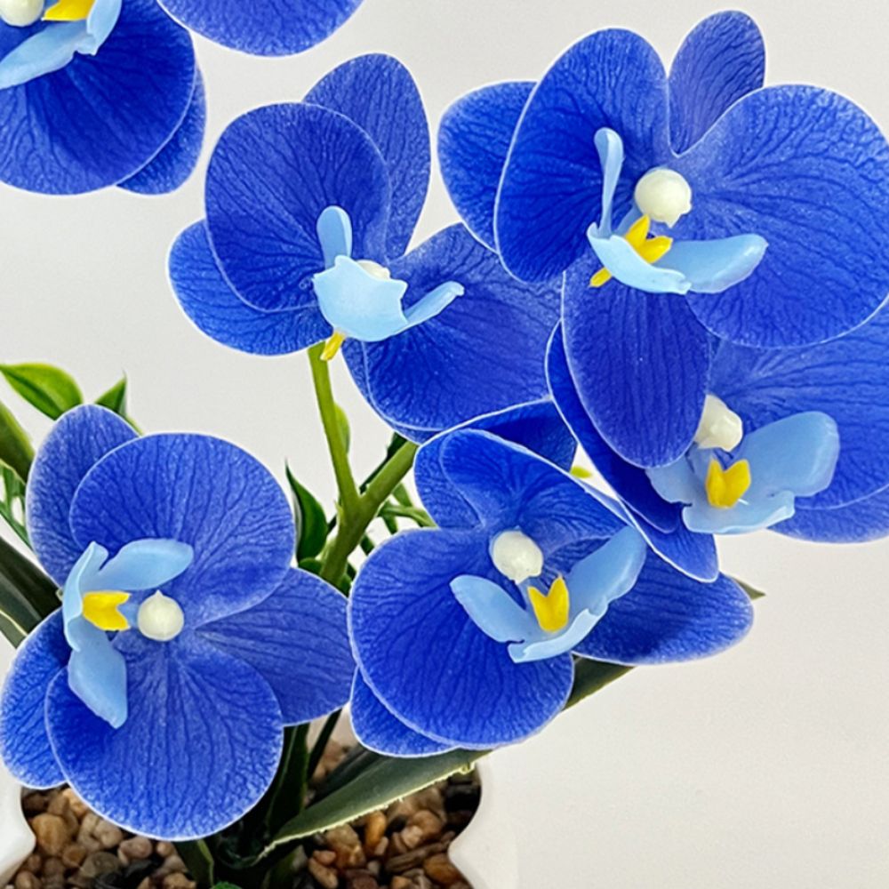 Sztuczna orchidea motylkowa Mu – Bonsai Garden Zen recenzja i cena