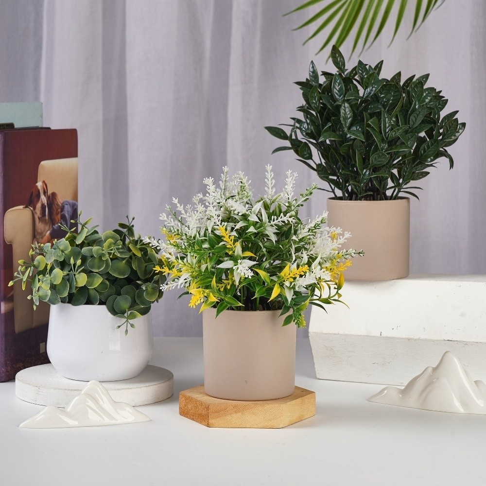 Symulacja plastikowej rośliny  – Bonsai Garden Zen recenzja i cena