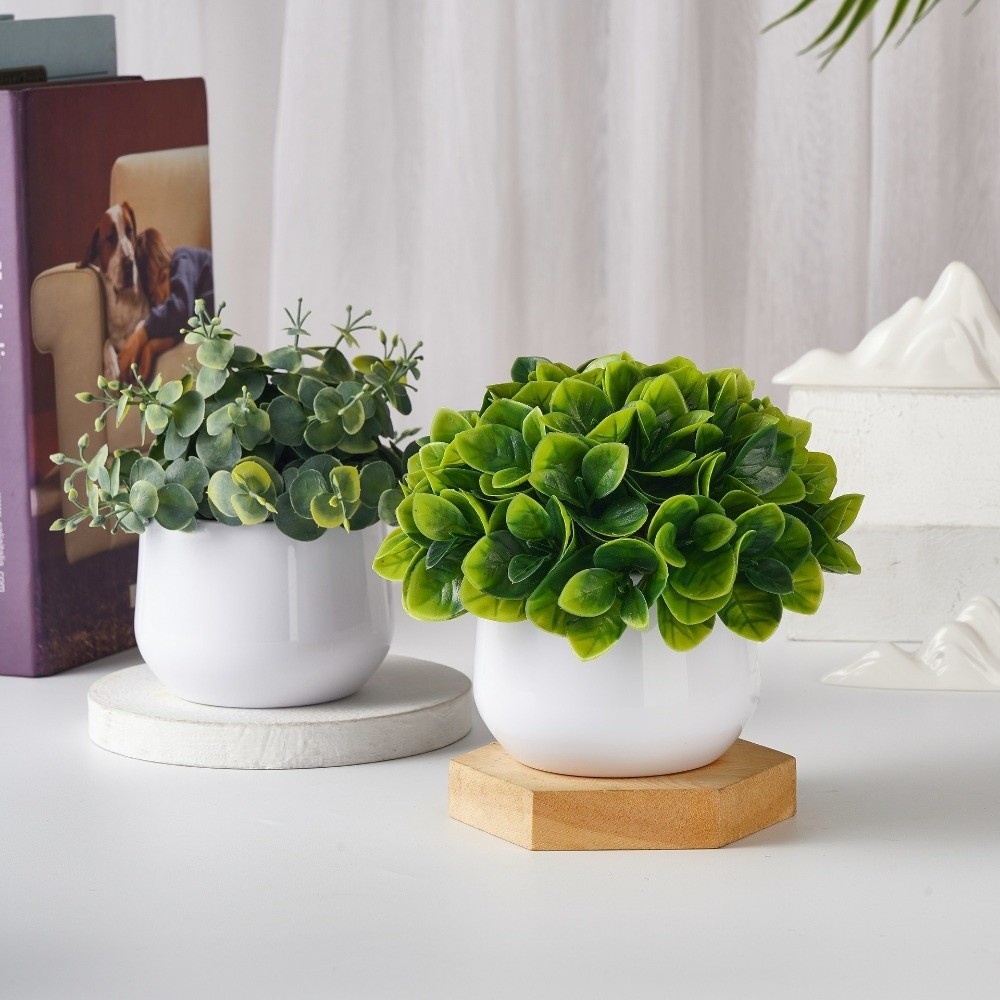 Symulacja plastikowej rośliny  – Bonsai Garden Zen recenzja i cena