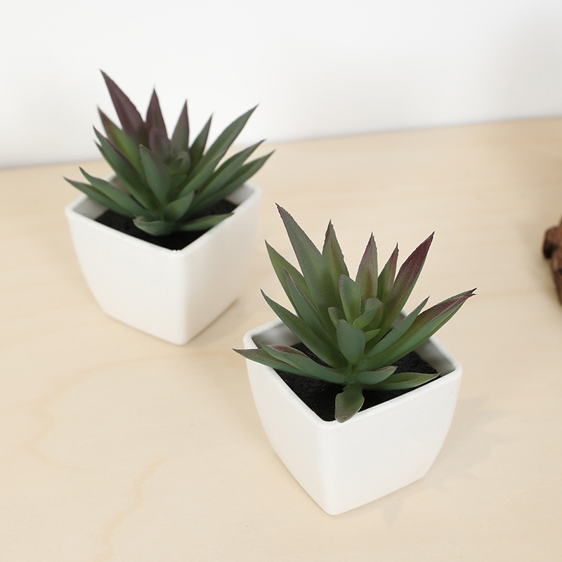 Mini sztuczny soczysty kubek w – Bonsai Garden Zen recenzja i cena