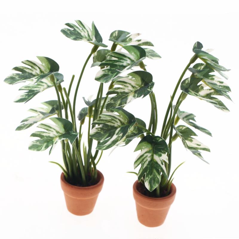 Nowy. 1 szt. 1/12 Symulacja ro – Bonsai Garden Decor recenzja i cena