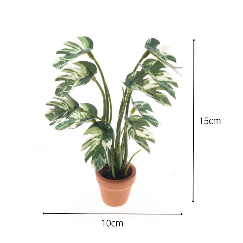 Nowy. 1 szt. 1/12 Symulacja ro – Bonsai Garden Decor recenzja i cena