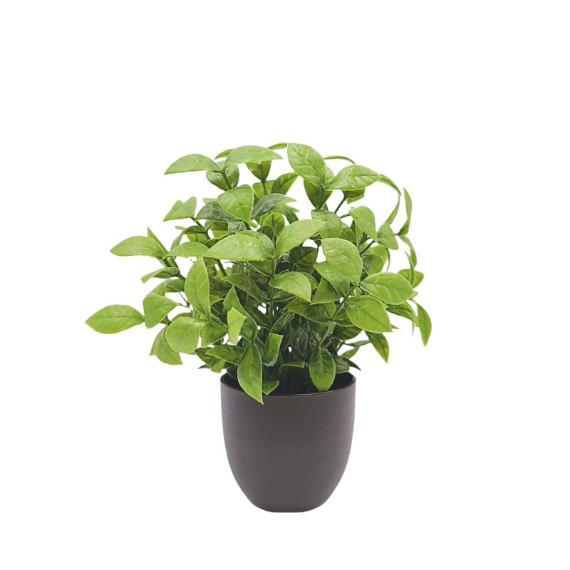 Sztuczna zielona roślina bonsa – Bonsai Garden Zen recenzja i cena